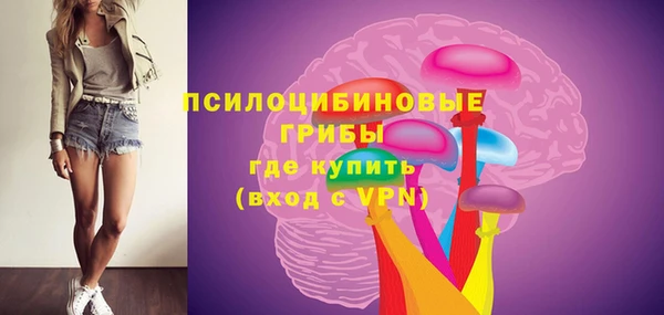 молекула духа Наволоки